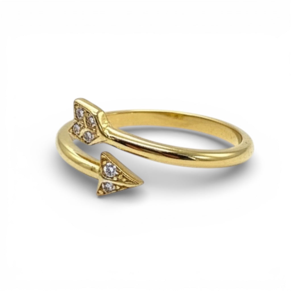 ANILLO FLECHA