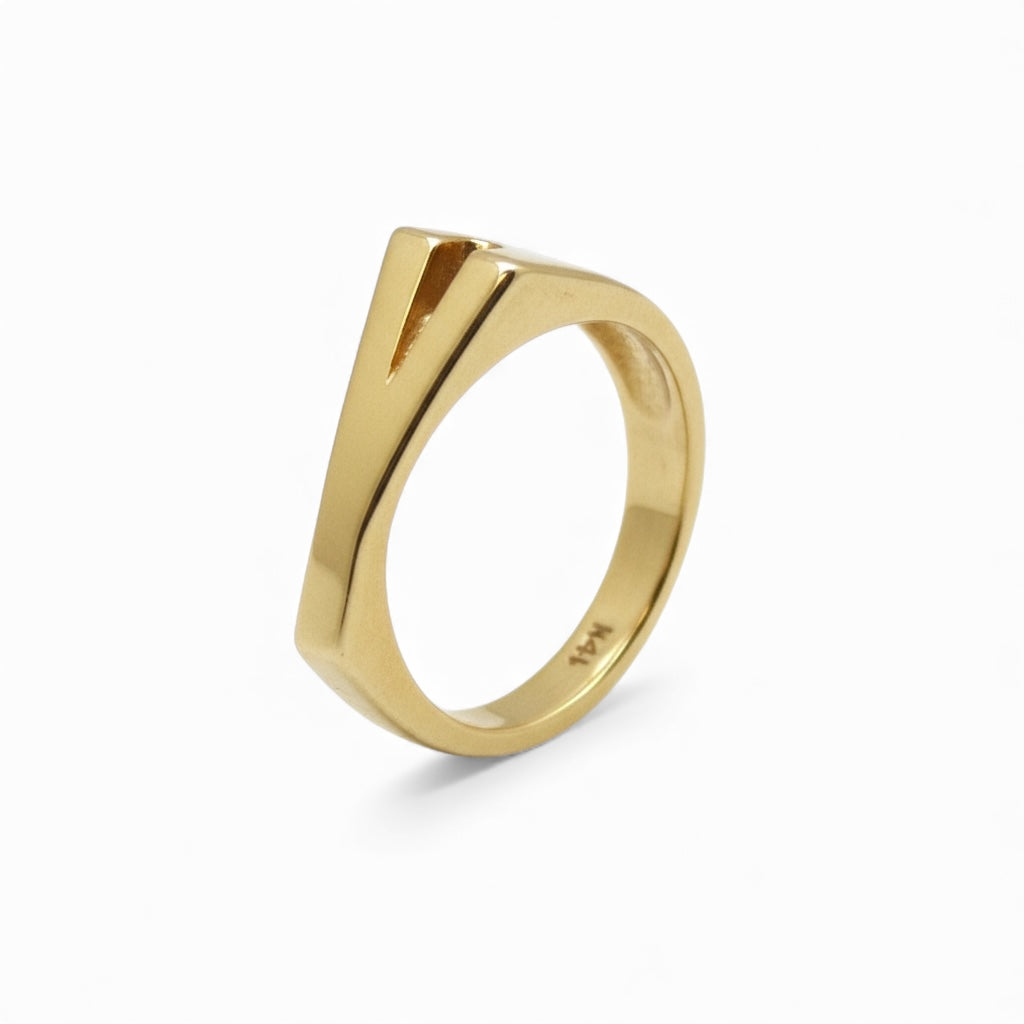 ANILLO INICIAL (SOBRE PEDIDO)