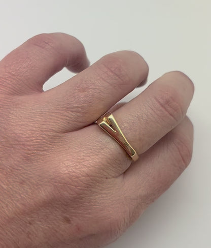 ANILLO INICIAL (SOBRE PEDIDO)